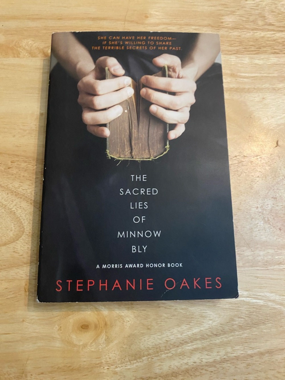 The Sacred Lies of Minnow Bly by Stephanie Oakes - Paperback Book